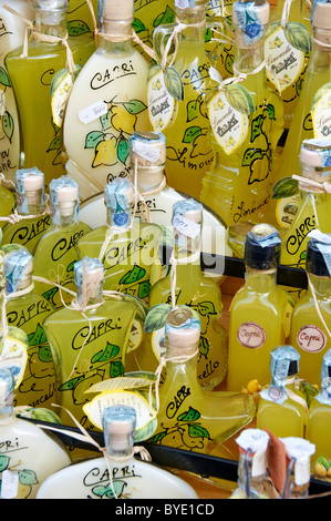 Bouteilles de Limoncello, souvenirs, île de Capri, Italie, Europe Banque D'Images