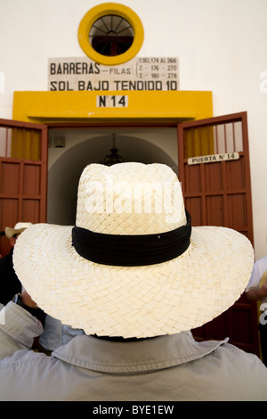 Soleil / l'espagnol au Panama hat style porté par membre de l'auditoire / foule / spectateur à arènes de Séville / Bull ring. Espagne Séville. Banque D'Images