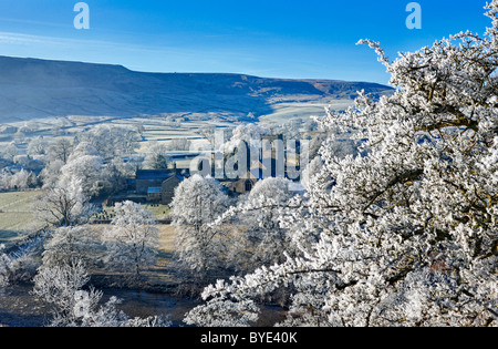 Burnsall village dans le Yorkshire Dales, les arbres couverts de givre, hiver UK Banque D'Images