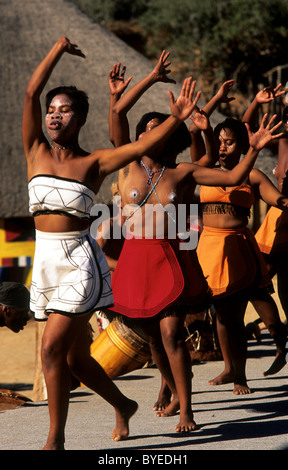 L'Afrique du Sud, Eastern Cape Province, Shamwari Game Reserve, la culture show. Banque D'Images