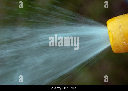 Une buse tuyau jaune pulvériser de l'eau dans un jardin. Une macro shot avec un arrière-plan flou. Banque D'Images