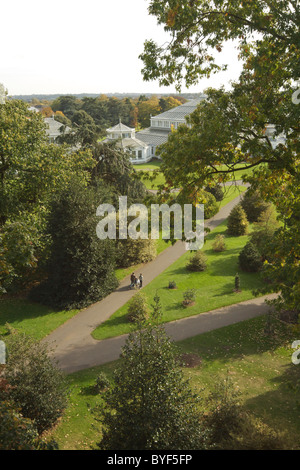 Avis de Kew Gardens et la serre tempérée dans les Royal Botanic Gardens à Kew de la Xstrata Treetop Walkway Banque D'Images