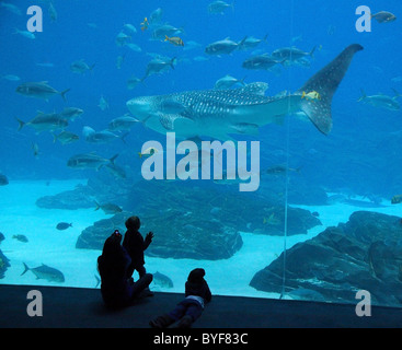 Regarder les gens pêcher dans le grand réservoir de l'océan à l'Aquarium de Géorgie, Atlanta Banque D'Images