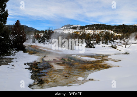 Les dépôts de travertin a Hot Spring. Mammoth Hot Springs, Parc National de Yellowstone, Wyoming, USA. Banque D'Images