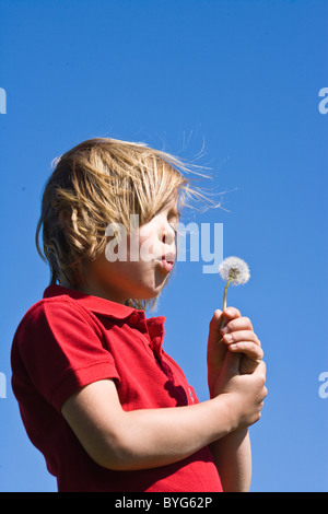 Boy blowing dandelion en plein soleil Banque D'Images