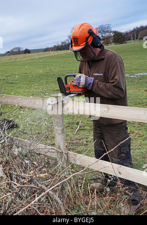 Les hommes l'érection d'une nouvelle clôture en bois au bord d'un champ. Banque D'Images