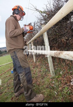 Les hommes l'érection d'une nouvelle clôture en bois au bord d'un champ. Banque D'Images