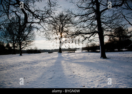 La neige a couvert la campagne, Boxley, Kent, South East, England, UK Banque D'Images