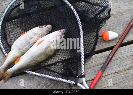 Prises de poissons Banque D'Images