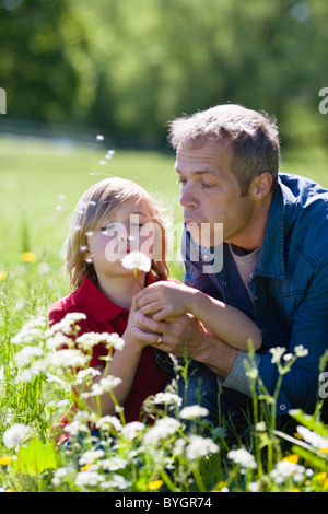 Père et fils blowing dandelion en plein soleil Banque D'Images