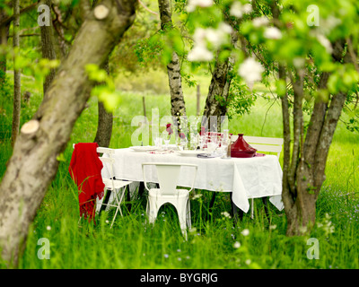 Table de pique-nique au jardin Banque D'Images