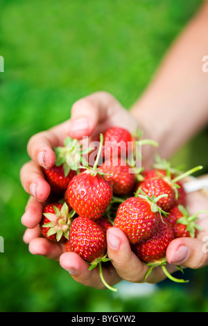 Creux des mains avec des fraises Banque D'Images