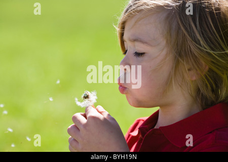 Boy blowing dandelion en plein soleil Banque D'Images