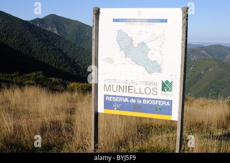 Réserve Biologique de Muniellos Informations Inscription - Asturies espagne conseil Ibias Banque D'Images