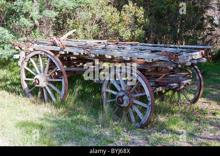 Hay historique ancien chariot de transport et de laine, Tasmanie, Australie Banque D'Images