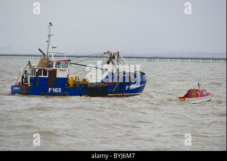 Le Cardium II, une base de Whitstable cockle drague bateau de travail juste à côté de Southend on Sea, Essex dans l'estuaire de la Tamise. Banque D'Images