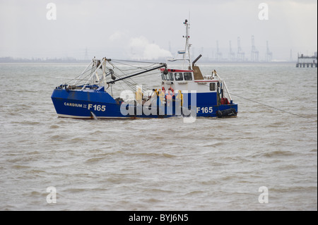 Le Cardium II, une base de Whitstable cockle drague bateau de travail juste à côté de Southend on Sea, Essex dans l'estuaire de la Tamise. Banque D'Images