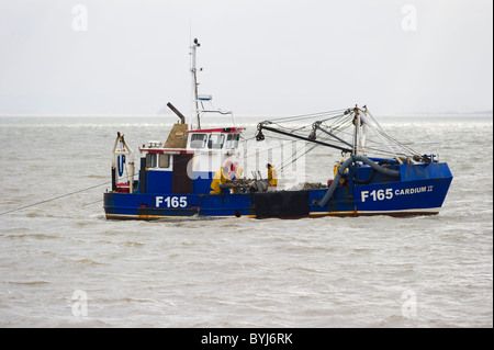 Le Cardium II, une base de Whitstable cockle drague bateau de travail juste à côté de Southend on Sea, Essex dans l'estuaire de la Tamise. Banque D'Images