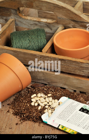 La plantation de graines de semences semences de haricots et les paquets dispersés avec des pots d'argile et de terre. Banque D'Images