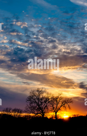 Majestic et de soleil colorés d'un Texas rural campagne. Banque D'Images