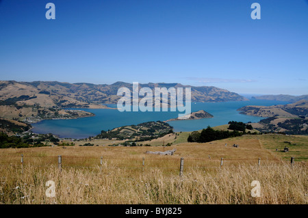 Baie d'Akaroa depuis un point de vue élevé sur la route touristique le long de Summit Road sur la péninsule de Banks dans l'île du Sud, Nouvelle-Zélande. Banque D'Images