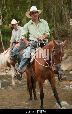 Deux éleveurs à cheval sur un ranch au Honduras, Rancher à l'avant est Don Arnulfo, travaillant avec son cheval au ranch Finca El Cisne près de Copán. Banque D'Images