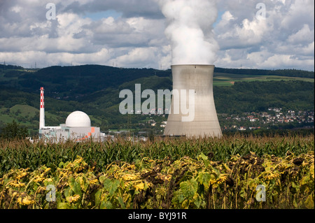 Centrale nucléaire, Leibstadt, Suisse Banque D'Images