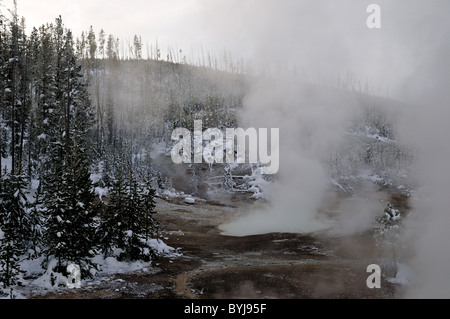 L'augmentation de la vapeur d'une source d'eau chaude. Le Parc National de Yellowstone, Wyoming, USA. Banque D'Images