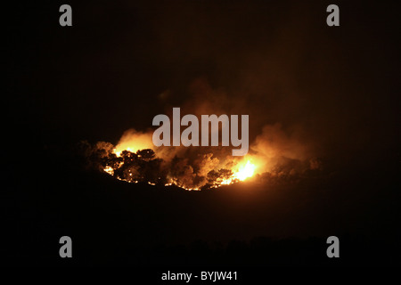 Les flammes et la fumée épaisse passer de un énorme feu de forêt sur le Mont Carmel dans le nord d'Israël. Le feu consomme une grande partie de la forêt méditerranéenne couvrant Banque D'Images