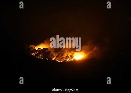 Les flammes et la fumée épaisse passer de un énorme feu de forêt sur le Mont Carmel dans le nord d'Israël. Le feu consomme une grande partie de la forêt méditerranéenne couvrant Banque D'Images