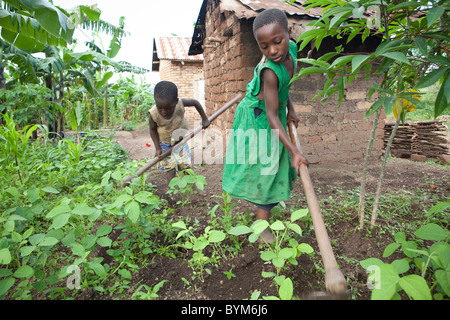 Deux enfants travaillent sur leur petite ferme dans les régions rurales de Masaka, en Ouganda, en Afrique de l'Est. Banque D'Images