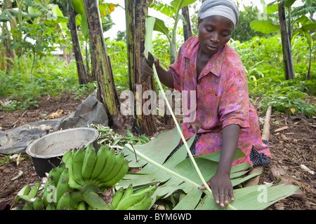 Une femme prépare un repas de bananes pour sa famille dans les régions rurales de Masaka, en Ouganda, en Afrique de l'Est. Banque D'Images