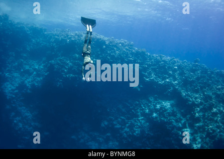 L'apnéiste se déplace sous l'eau près de la barrière de corail à la profondeur du trou bleu. Lire la mer, l'Égypte. Banque D'Images