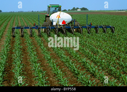 Agriculture - demande chimique en bandes latérales, début de la croissance du maïs, la culture et l'injection d'azote / New York, USA. Banque D'Images