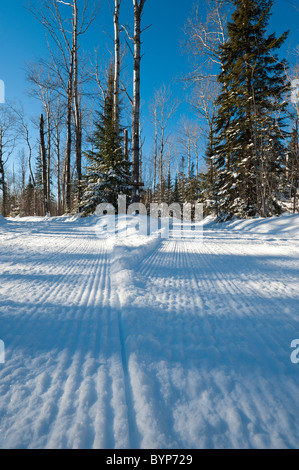 La fondeuse SUR PISTE Banque D'Images