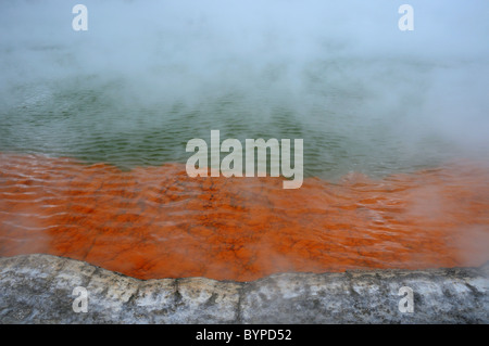 La piscine de Champagne, un lac thermal au wai-o-Tapu région géothermique près de Taupo en Nouvelle Zélande Banque D'Images