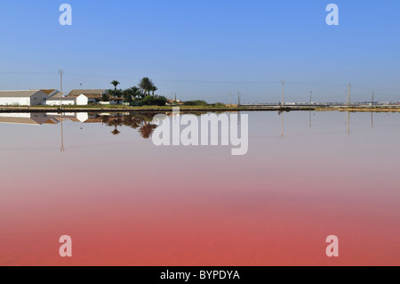 Salinas de San Pedro del Pinatar, Murcia, Espagne Banque D'Images