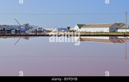 Salinas de San Pedro del Pinatar, Murcia, Espagne Banque D'Images