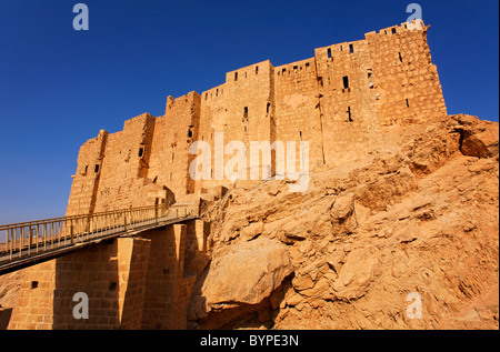 Qalaat ibn Maan, le château arabe, à Palmyra, Syrie Banque D'Images