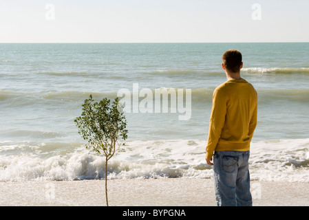 Homme debout à côté de petit arbre sur plage, looking at view Banque D'Images