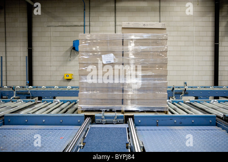 Palette enveloppée de boîtes de carton sur la courroie du convoyeur à l'usine de carreaux de tapis Banque D'Images