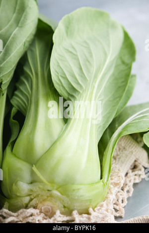 Fresh bok choy Banque D'Images