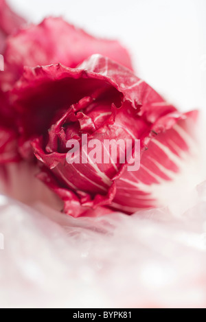 Radicchio, close-up Banque D'Images