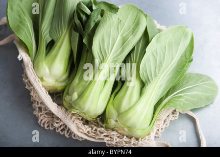 Fresh bok choy Banque D'Images