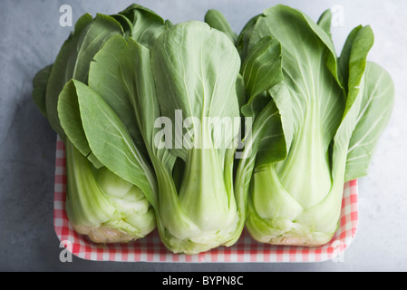 Fresh bok choy Banque D'Images