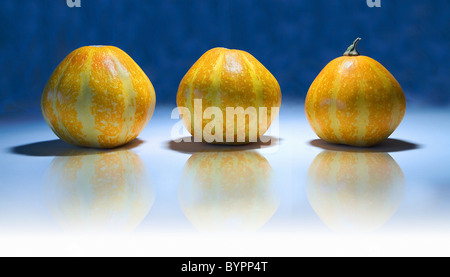 Trois citrouilles jaune isolé sur fond blanc et bleu. Banque D'Images