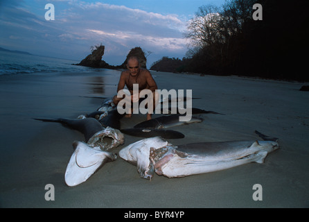 Les requins vivant à ailettes et jeté par-dessus bord, se noient et échouer sur la plage. Costa Rica - Océan Pacifique Banque D'Images