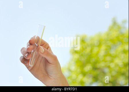 Hand holding test tube vide Banque D'Images