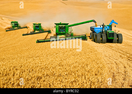 Trois moissonneuses-batteuses John Deere en tandem de blé de la récolte alors qu'une décharge dans un chariot de céréales "à la volée" / Pullman, Washington, USA. Banque D'Images