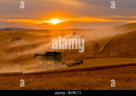 Une moissonneuse-batteuse John Deere récoltes du blé au coucher du soleil sur les collines de la région de Palouse / près de Pullman, Washington, USA. Banque D'Images